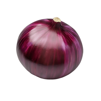 Red Onion with Transparent Background, A Vibrant and Delicious Vegetable with a Sharp Flavor, Isolated on Black png