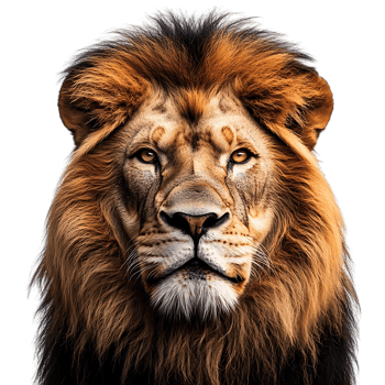 Majestic Lion with Transparent Background, a Powerful Symbol of Strength and Royalty. png