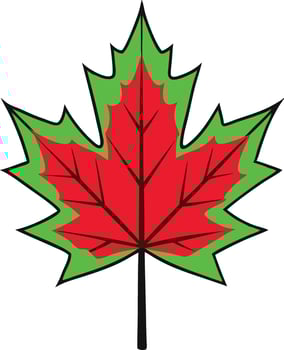 Golden autumn maple leave vector