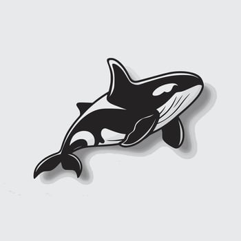 Orca whale design illustration logo on silver background vector