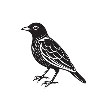 Black Bird Illustration White Background vector