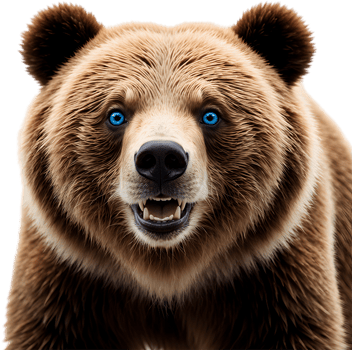 Projects for Wildlife, Grizzly Bear Clipart. . png
