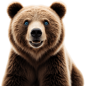 Projects with Wildlife, Grizzly Bear Clipart. . png