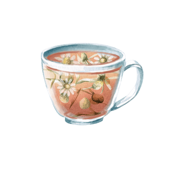 Transparent glass mug with chamomile tea inside in watercolor. Isolated illustration in realistic style for design of restaurant menus, cafes, tea shops, cookbooks. Tea ceremony png