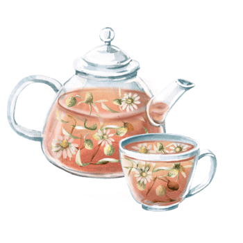 Transparent set. a kettle and a cup with chamomile tea in watercolor. Isolated illustration for the design of tea ceremonies, cafes, shops, posters, culinary books png