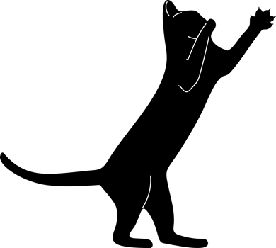 illustration of silhouette black cat playing and stand with two feet no people transparent background. png