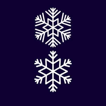 Two snowflakes are shown in a blue background. vector