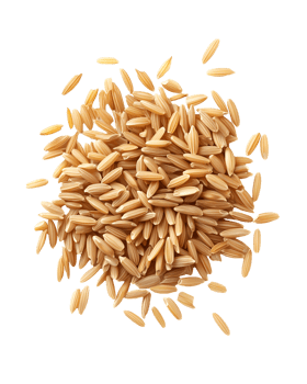 uncooked hulled brown rice grains isolated background png