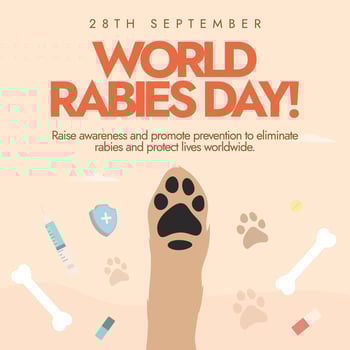 World Rabies Day. 28th September Rabies awareness day banner, post with a dog paw, bones, syringes. The day raise awareness about rabies and its prevention, a disease that transmitted from animals vector