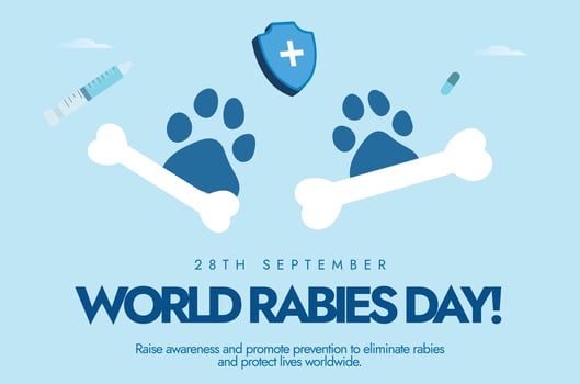 World Rabies Day. 28th September Rabies awareness day banner, post with dog paws, bones. The day raise awareness about rabies and its prevention, a disease that transmitted from animals to humans. vector
