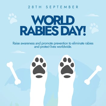 World Rabies Day. 28th September Rabies awareness day banner, post with a dog paws, bones. The day raise awareness about rabies and its prevention, a disease that transmitted from animals to humans. vector