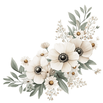 Watercolor floral bouquet, pale white anemones and daisies with sage green leaves on transparent background png
