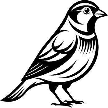 Black sparrow bird gracefully captured in a stencil logo. . png
