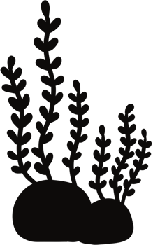 Black color elements, black seaweed png