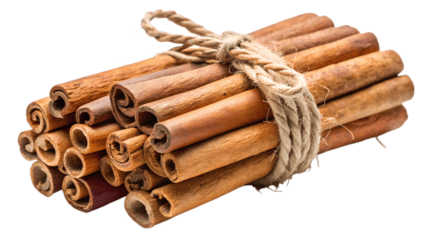 Bundled cinnamon sticks tied with natural twine transparent png