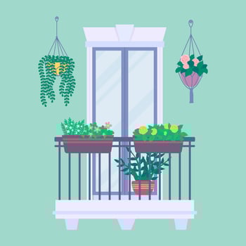 Cartoon Color Urban Architecture Balcony with Flowering Plant Hanging Pots. vector