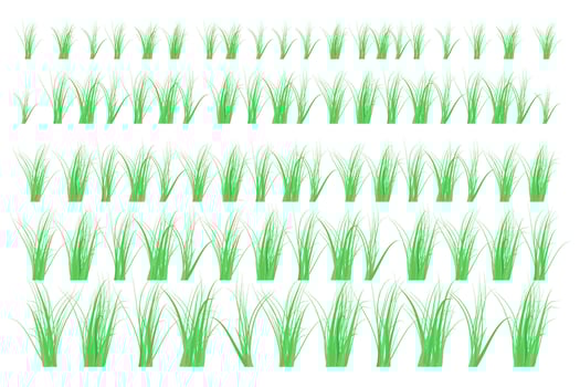 Grass borders on white background. The green grass is very popular. vector