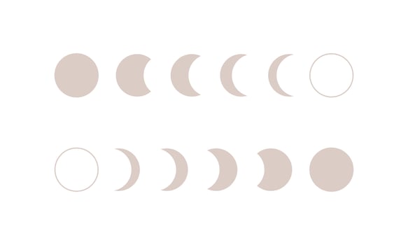 Phases of moon infographic. New, Full, Waning Crescent, First and Last Quarter moon vector