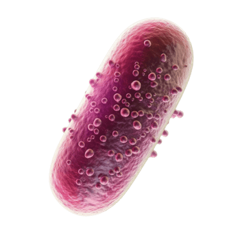 3D Model of Virus Particle with Pinkish Hue AI-GeneratIive png