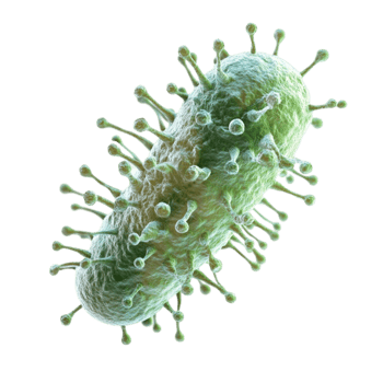 Green Virus Particle with Spiky Surface Floating AI-GeneratIive png