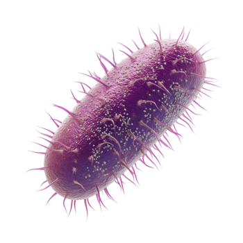 3D Rendering of Purple Bacterium with Long AI-GeneratIive png