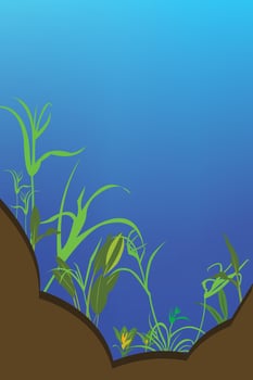 Water plant Background vector