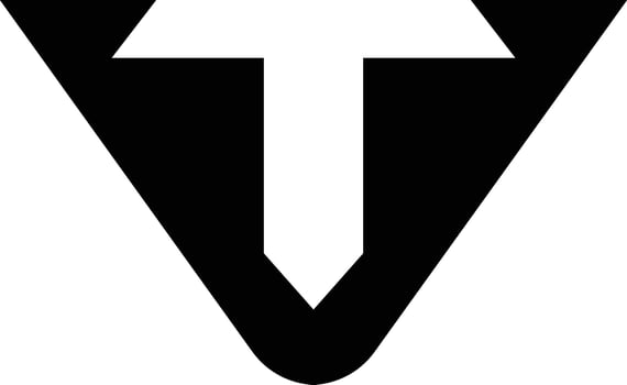 VT letter Logo design for your brand vector