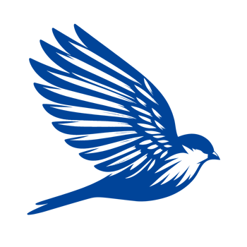 Blue Bird in Flight with Spread Wings png