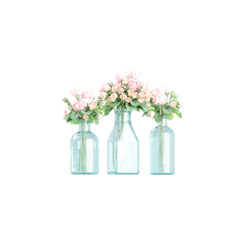 Vintage Vase Trio with Blooms isolated on Canvas png