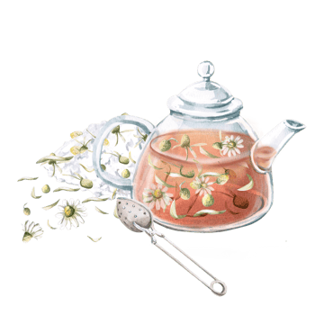 Composition of transparent teapot with chamomile tea, spoon for brewing and petals of dried chamomile. Isolated watercolor illustration for design of tea ceremonies, cafes, tea shops, tea collections png