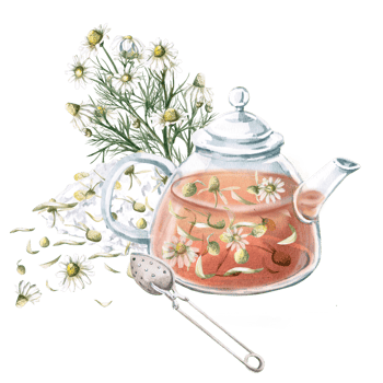 Composition of transparent teapot with chamomile tea, spoon for brewing and bouquet of chamomile. Isolated watercolor illustration for decoration of tea ceremonies, cafes, tea shops, tea collections png