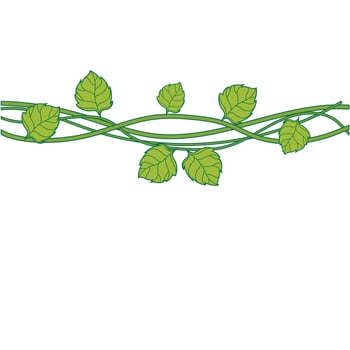 Wild dry liana, forest vines isolated on white background, illustration vector