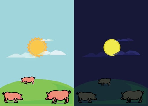 Pig Farm in Day and Night Atmosphere Background vector