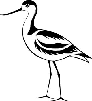 Decorative Black American Avocet Stencil Clipart Outline. . png