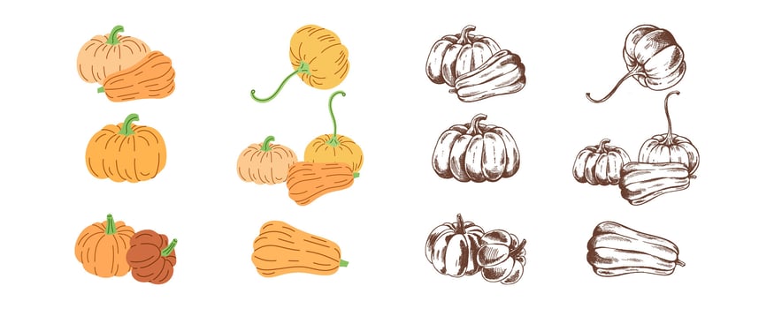 flat and sketch style Halloween Illustration. Hand-drawn scary pumpkins sketch set. Element for labels, packaging and cards design. vector