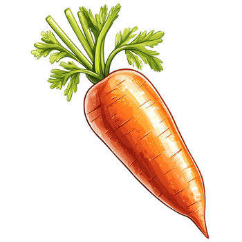 A vibrant, fresh carrot with rich orange color and green leafy tops isolated on transparent background. png