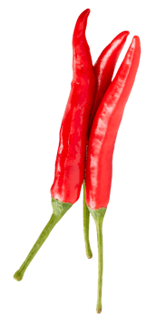 Top view of fresh red chili peppers or cayenne peppers in stack isolated with clipping path in file format png