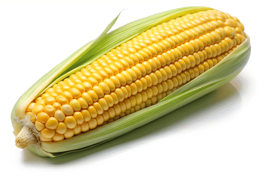 Close-Up of Corn on the Cob png
