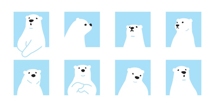 Bear polar bear icon character cartoon logo teddy square symbol doodle animal illustration isolated design vector
