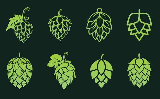 Green silhouette of hops for beer logo. Set of different hop flowers. Hops icon on a dark background vector
