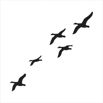 Silhouette of Geese Flying in V Formation Against White Sky vector