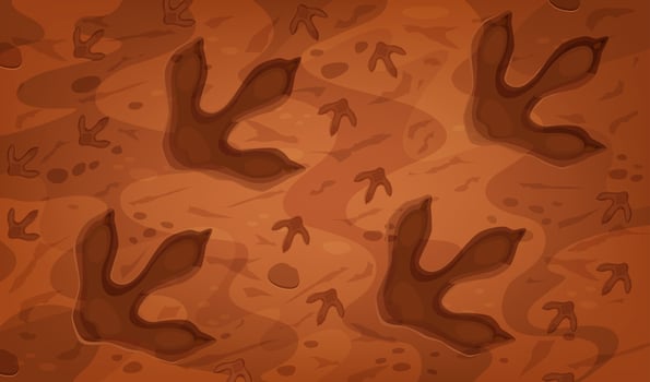 Dinosaur fossil footprints of prehistoric era vector
