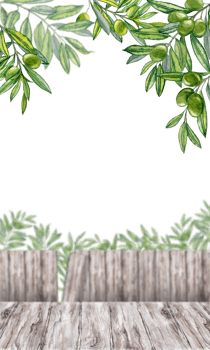 The village fence by the olive garden. Watercolor illustration for placing text or objects png