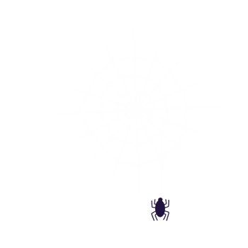 Halloween spiderweb illustration png
