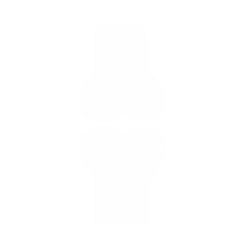 Bone human anatomy illustration png