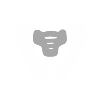 human pelvic bone anatomy png