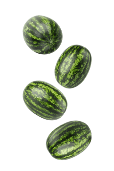 Falling Watermelon, cutout, full depth of field png