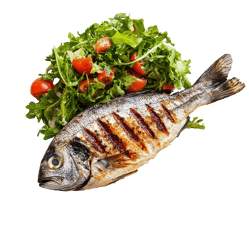 Grilled fish served with fresh salad on a plate, cut out transparent png
