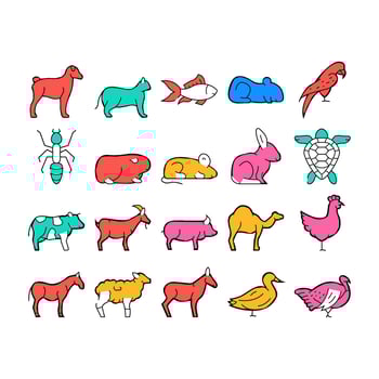Pet Domestic, Farm And Sea Aqua Icons Set vector