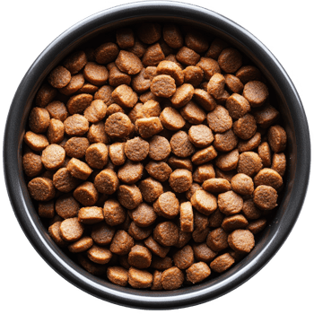 pet food for cat png